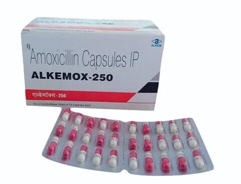 AMOXICILLIN (ROYAL)