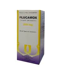 Amoxicillin & Flucloxacilin Flucamox Syrup