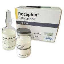 Ceftriaxone Injection Epicephine 1g