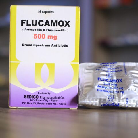 Flucamox 500mg caps
