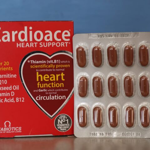 Cardioace heart support